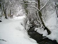 Paisaje de invierno