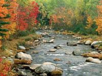 Paisaje de otoño