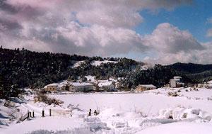orondritz
